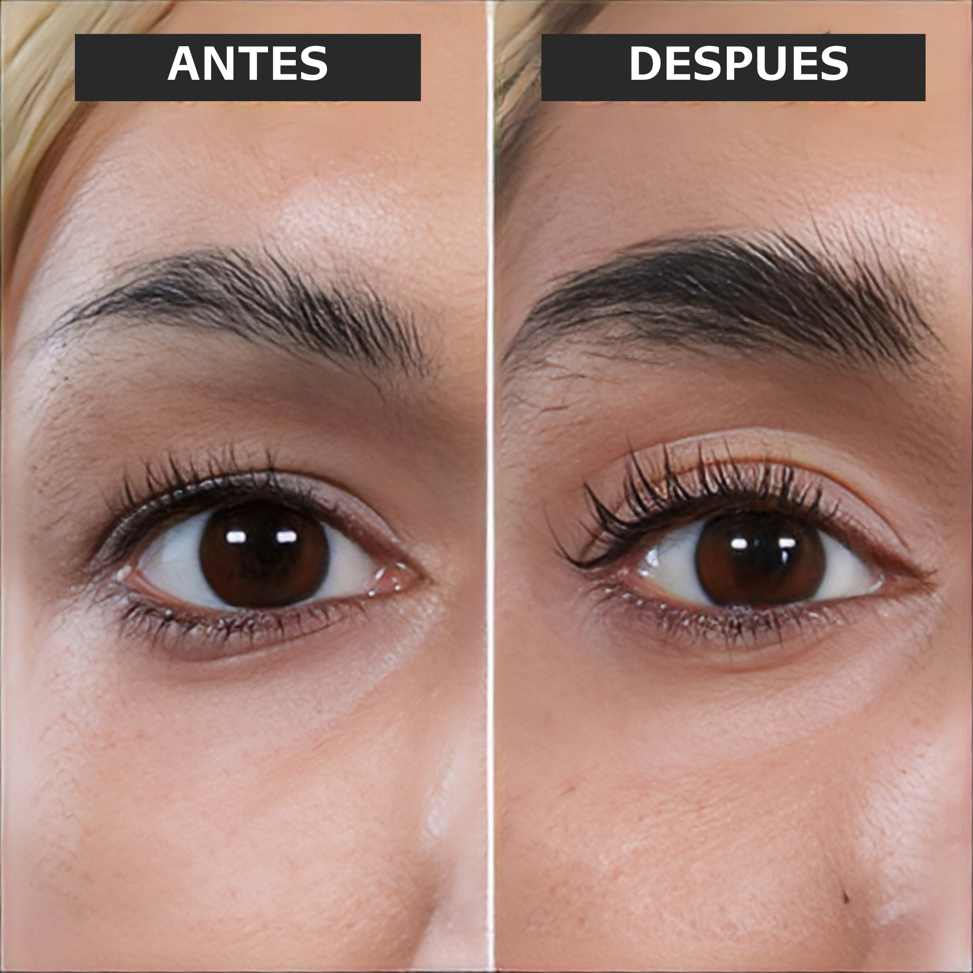 SERUM UP Alargamiento de Pestañas y Cejas